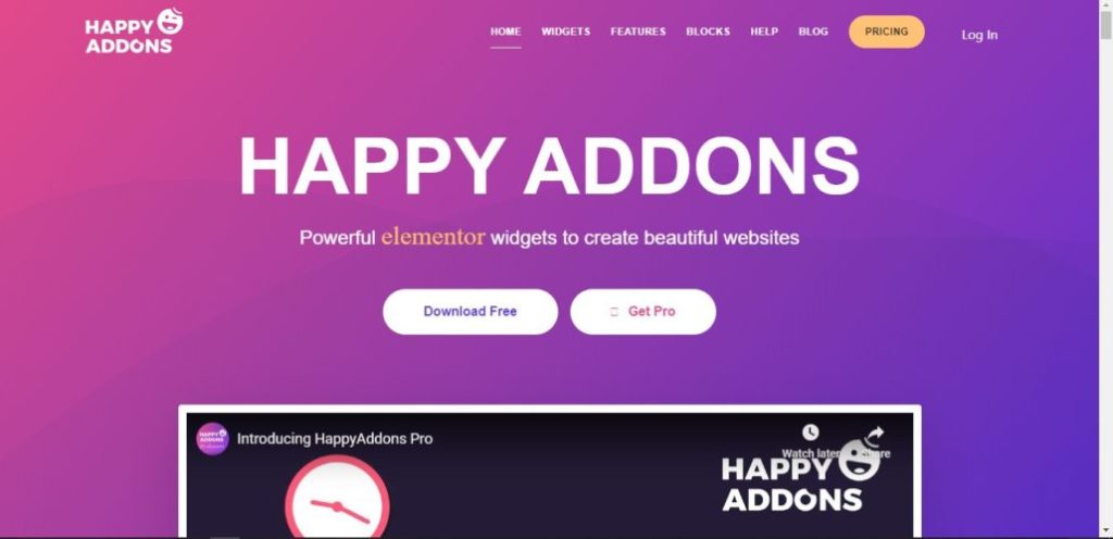 Top WordPress Company
